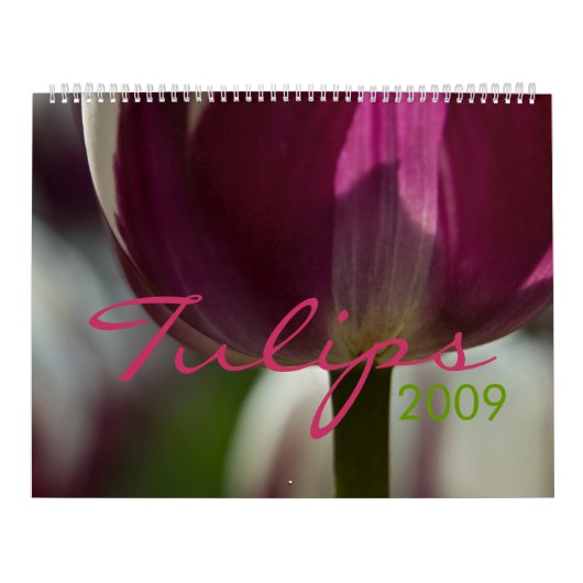 チューリップ2009のカレンダー カレンダー (カバー)