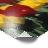 チューリップ2 フォトプリント            (角)