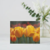 チューリップ2 ポストカード (スタンド正面)