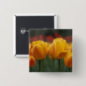 チューリップ2 缶バッジ (正面&裏面)