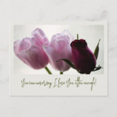 チューリップ3258 ポストカード (正面)