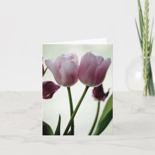 チューリップ3259 カード (正面)