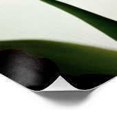 チューリップ3259 ポスター (コーナー)