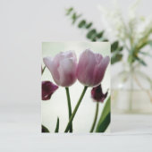 チューリップ3259 ポストカード (スタンド正面)