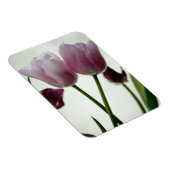 チューリップ3259 マグネット (右側)
