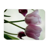 チューリップ3259 マグネット (横)