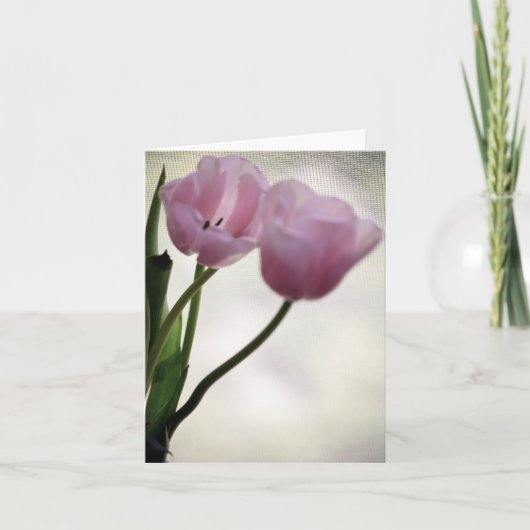 チューリップ3265 カード (正面)