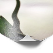 チューリップ3265 フォトプリント            (角)