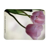 チューリップ3265 マグネット (横)