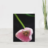 チューリップ3272 カード (正面)