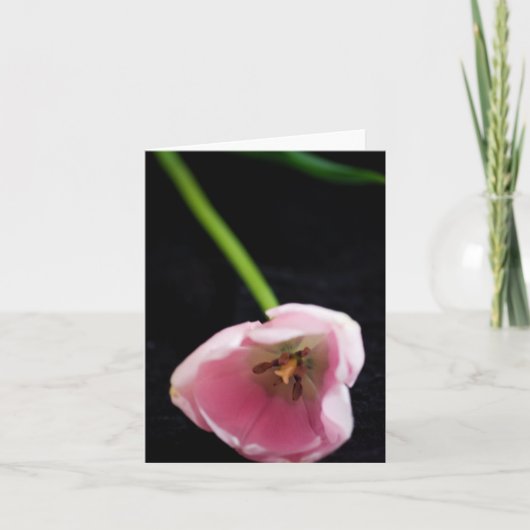 チューリップ3272 カード (正面)