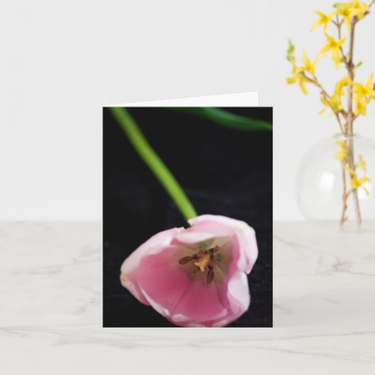 チューリップ3272 カード (黄色い花)