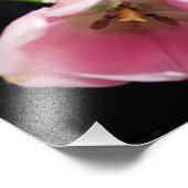 チューリップ3272 フォトプリント            (角)