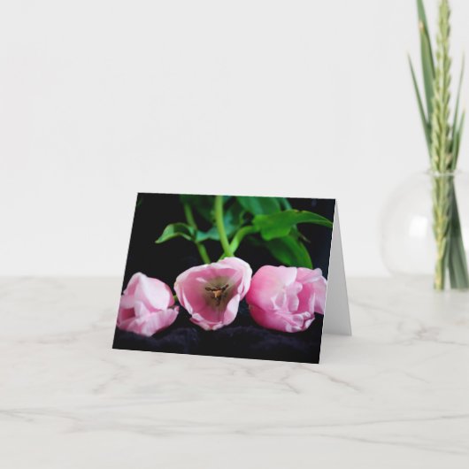 チューリップ3273 カード (正面)