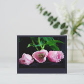 チューリップ3273 ポストカード (スタンド正面)