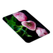 チューリップ3273 マグネット (右側)