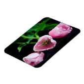 チューリップ3273 マグネット (左側)