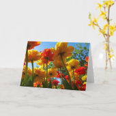 チューリップ8の空白のな挨拶状 カード (黄色い花)