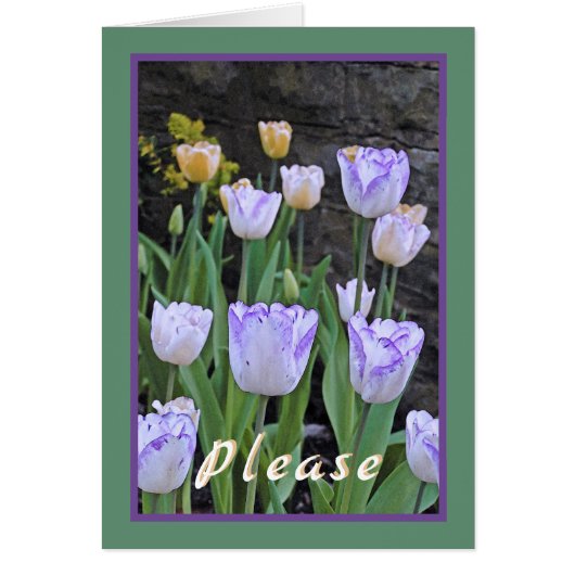 チューリップ/すぐに元気になる/私たち全員から (正面)