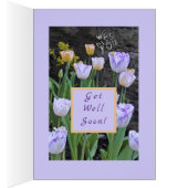 チューリップ/すぐに元気になる/私たち全員から (内側 (右))