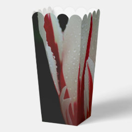 チューリップ・エレガンス・フェイバーボックス フェイバーボックス