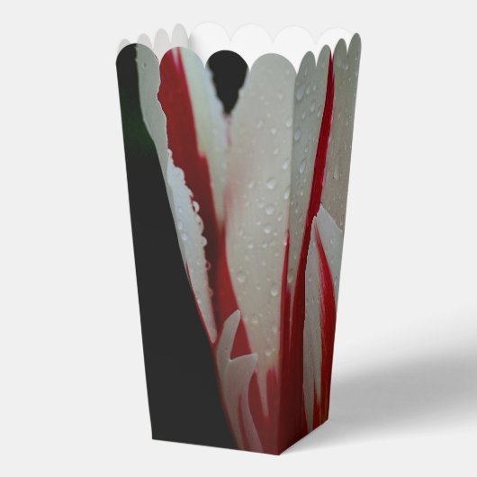 チューリップ・エレガンス・フェイバーボックス フェイバーボックス (裏面)