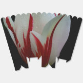 チューリップ・エレガンス・フェイバーボックス フェイバーボックス (見開き)