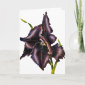 チューリップ カード (正面)