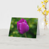 チューリップ カード (黄色い花)