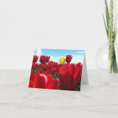 チューリップ カード (正面)