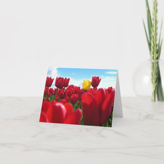 チューリップ カード (正面)