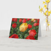 チューリップ カード (黄色い花)