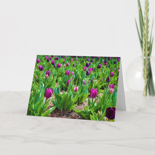 チューリップ、カード カード (正面)