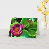 チューリップ、カード カード (黄色い花)