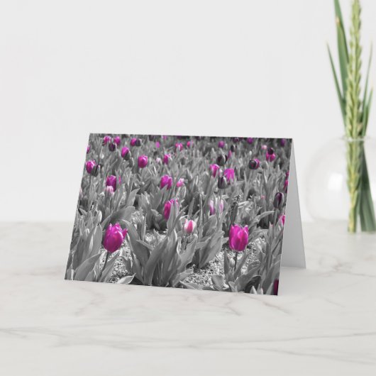 チューリップ、カード カード (正面)