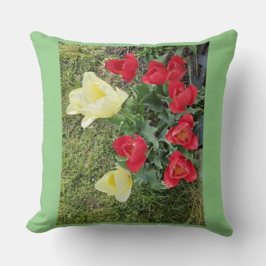 チューリップ クッション (正面)