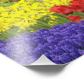 チューリップ、グレープハイアシン、ダフォジル， 2 フォトプリント            (角)