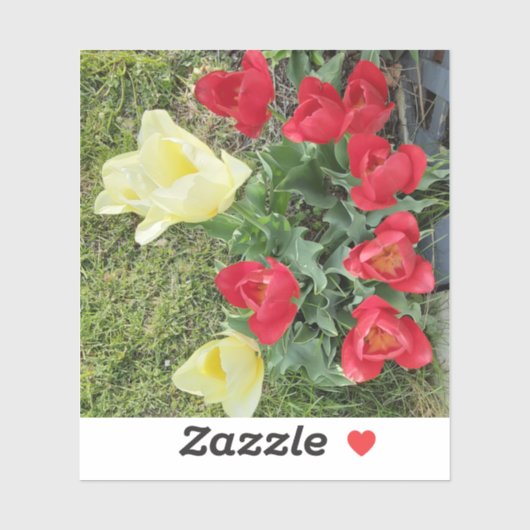 チューリップ シール (シート)