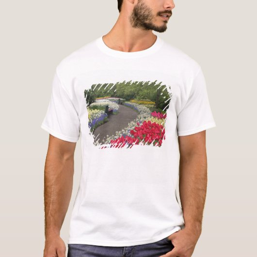 チューリップ、スイセン、そして Tシャツ (正面)