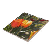 チューリップ タイル (側面)