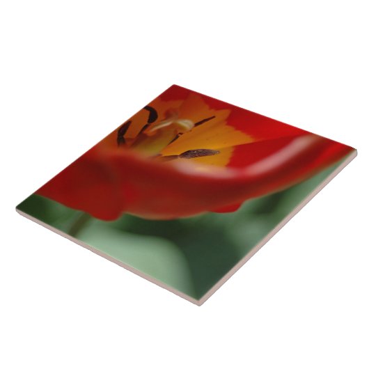 チューリップ タイル (側面)