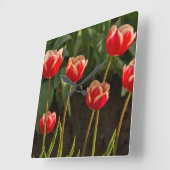 チューリップ,チューリップフェスティバル,ウッドバーン,オレゴン,米国1 スクエア壁時計 (傾斜)