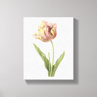 チューリップ（チューリパカルタ）バイレッドヴェー キャンバスプリント