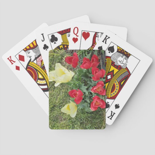 チューリップ トランプ (裏面)