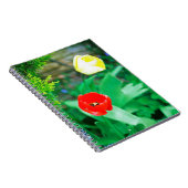 チューリップ ノートブック (右側)