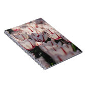 チューリップ ノートブック (右側)