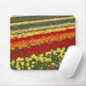 チューリップ·フィールドズ、南オタゴ、西タパヌイ近く マウスパッド (マウス)