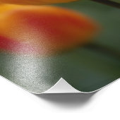 チューリップ フォトプリント            (角)