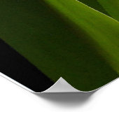 チューリップ ポスター (角)