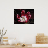 チューリップ ポスター (キッチン)